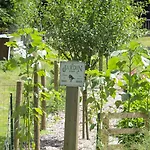 Gasthuis Le Prieure Des Fontaines 3*