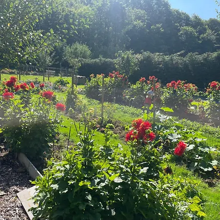 Le Prieure Des Fontaines Guest house