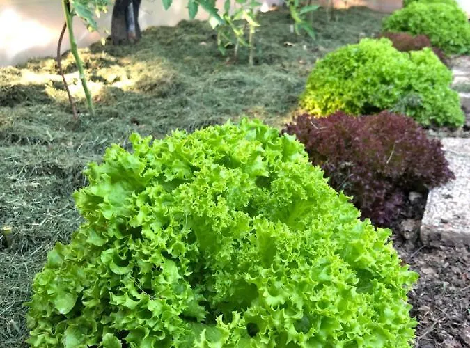 Le Prieuré Des Fontaines Maison d'hôtes 3*