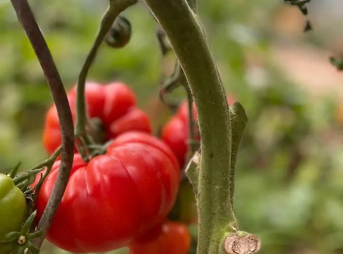 Le Prieuré Des Fontaines 3* Les Preaux